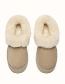 AUSTRALIAN SHEPHERD® Clarrie Platform