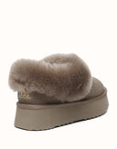 AUSTRALIAN SHEPHERD® Clarrie Platform