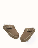 AUSTRALIAN SHEPHERD® Sadie