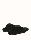 AUSTRALIAN SHEPHERD® Farah