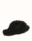 AUSTRALIAN SHEPHERD® Farah