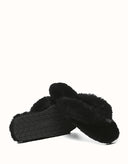 AUSTRALIAN SHEPHERD® Farah