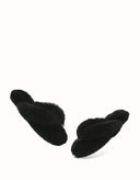 AUSTRALIAN SHEPHERD® Farah