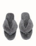 AUSTRALIAN SHEPHERD® Farah