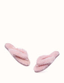 AUSTRALIAN SHEPHERD® Farah