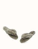 AUSTRALIAN SHEPHERD® Farah