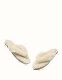 AUSTRALIAN SHEPHERD® Farah