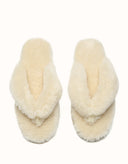 AUSTRALIAN SHEPHERD® Farah