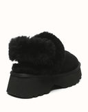 AUSTRALIAN SHEPHERD® Muna Platform