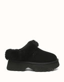 AUSTRALIAN SHEPHERD® Murray Platform