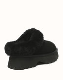 AUSTRALIAN SHEPHERD® Murray Platform