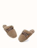 AUSTRALIAN SHEPHERD® Cecil