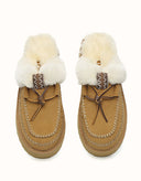 AUSTRALIAN SHEPHERD® Sammy