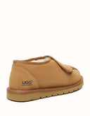 AUSTRALIAN SHEPHERD® Tristen