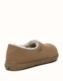 AUSTRALIAN SHEPHERD® Brett