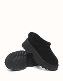 AUSTRALIAN SHEPHERD® Adrian