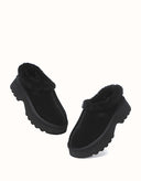 AUSTRALIAN SHEPHERD® Adrian