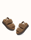 AUSTRALIAN SHEPHERD® Lyam