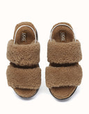 AUSTRALIAN SHEPHERD® Lyam