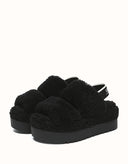 AUSTRALIAN SHEPHERD® Lyam