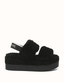 AUSTRALIAN SHEPHERD® Lyam