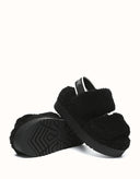 AUSTRALIAN SHEPHERD® Lyam