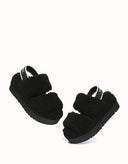 AUSTRALIAN SHEPHERD® Lyam