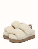 AUSTRALIAN SHEPHERD® Lyam