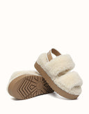 AUSTRALIAN SHEPHERD® Lyam