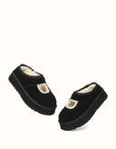 AUSTRALIAN SHEPHERD® Carmella