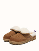 AUSTRALIAN SHEPHERD® Theia