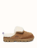 AUSTRALIAN SHEPHERD® Theia