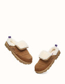 AUSTRALIAN SHEPHERD® Theia