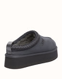 AUSTRALIAN SHEPHERD® Tay Platform