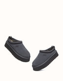 AUSTRALIAN SHEPHERD® Tay Platform