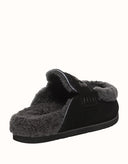 AUSTRALIAN SHEPHERD® Lora