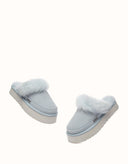 AUSTRALIAN SHEPHERD® Moress