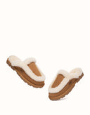 AUSTRALIAN SHEPHERD® Layna