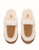 AUSTRALIAN SHEPHERD® Layna