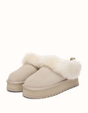 AUSTRALIAN SHEPHERD® Mianee Platform