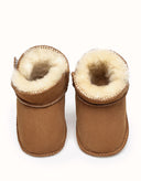 AUSTRALIAN SHEPHERD® Baby Erin