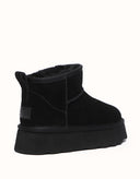 AUSTRALIAN SHEPHERD® Platform Ronnie