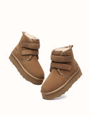 AUSTRALIAN SHEPHERD® Vigour