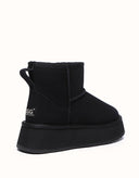 AUSTRALIAN SHEPHERD® Thick Bottom Mini Clasic