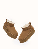 AUSTRALIAN SHEPHERD® Saylor Ultra Platform