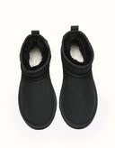 AUSTRALIAN SHEPHERD® Jade