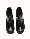 AUSTRALIAN SHEPHERD® Wren