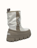 AUSTRALIAN SHEPHERD® Wren