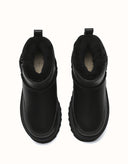 AUSTRALIAN SHEPHERD® Arya