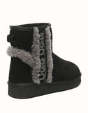 AUSTRALIAN SHEPHERD® Mini Darby